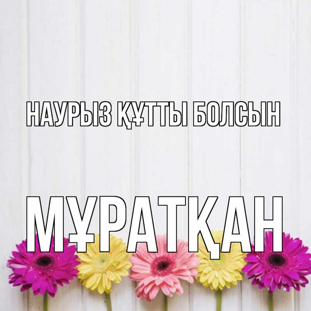Күн сайын ашық хат с именем, Мұратқан Наурыз құтты болсын женщинам 1 Онлайн тегін жүктеп алу тілектері бар керемет карта 