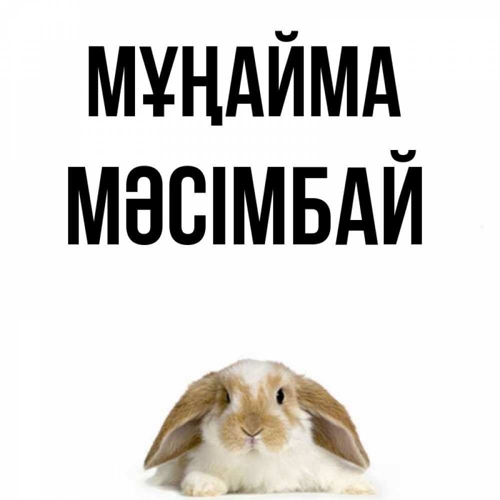Күн сайын ашық хат с именем, МӘСІМБАЙ Мұңайма коричнево белый заяц с большими ушками Онлайн тегін жүктеп алу тілектері бар керемет карта 