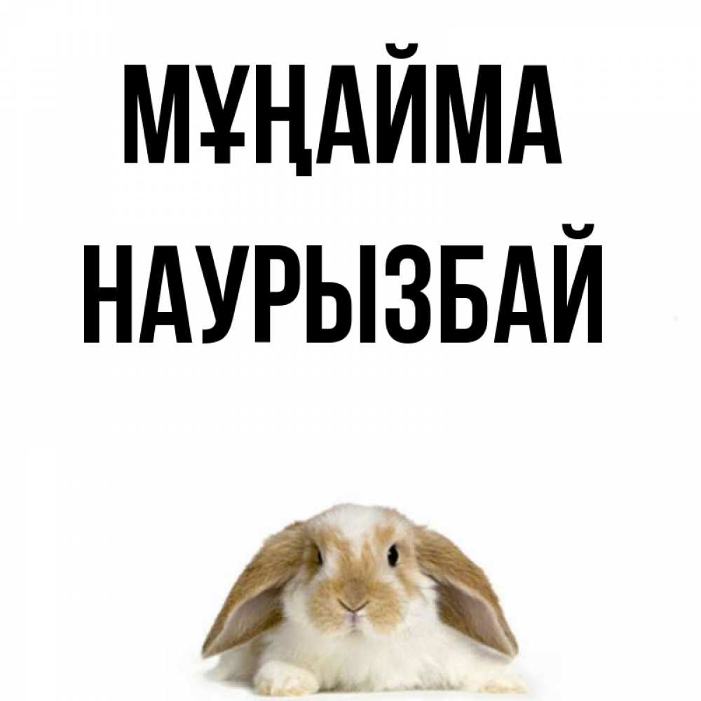 Күн сайын ашық хат с именем, Наурызбай Мұңайма коричнево белый заяц с большими ушками Онлайн тегін жүктеп алу тілектері бар керемет карта 