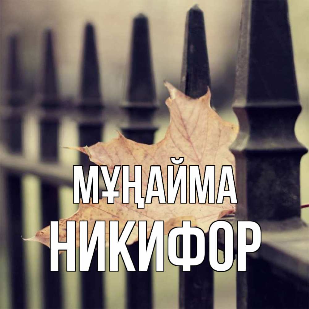 Күн сайын ашық хат с именем, Никифор Мұңайма лист клена Онлайн тегін жүктеп алу тілектері бар керемет карта 