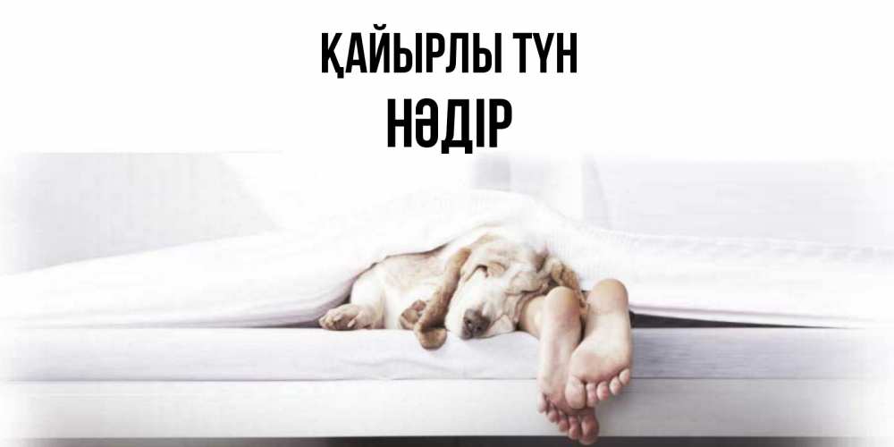 Күн сайын ашық хат с именем, НӘДІР Қайырлы түн кровать с собакой пожелание сладких снов и спокойной ночи Онлайн тегін жүктеп алу тілектері бар керемет карта 