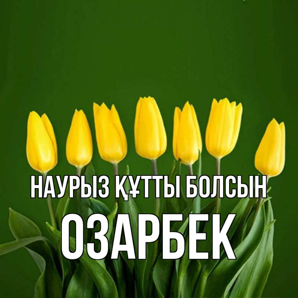 Күн сайын ашық хат с именем, ОЗАРБЕК Наурыз құтты болсын желтого цвета 3 Онлайн тегін жүктеп алу тілектері бар керемет карта 