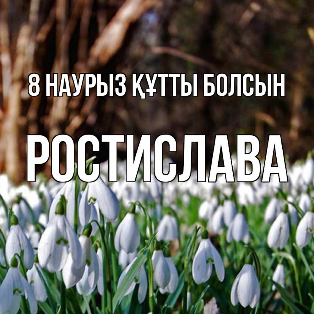 Күн сайын ашық хат с именем, Ростислава 8 наурыз құтты болсын с подснежниками 1 Онлайн тегін жүктеп алу тілектері бар керемет карта 