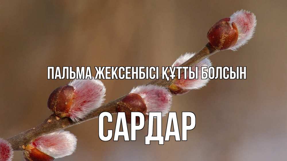Күн сайын ашық хат с именем, САРДАР Пальма жексенбісі құтты болсын верба Онлайн тегін жүктеп алу тілектері бар керемет карта 