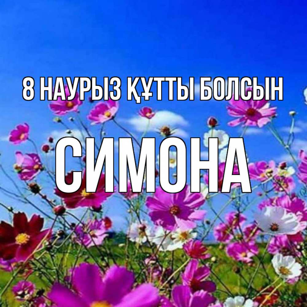Күн сайын ашық хат с именем, Симона 8 наурыз құтты болсын цветы Онлайн тегін жүктеп алу тілектері бар керемет карта 