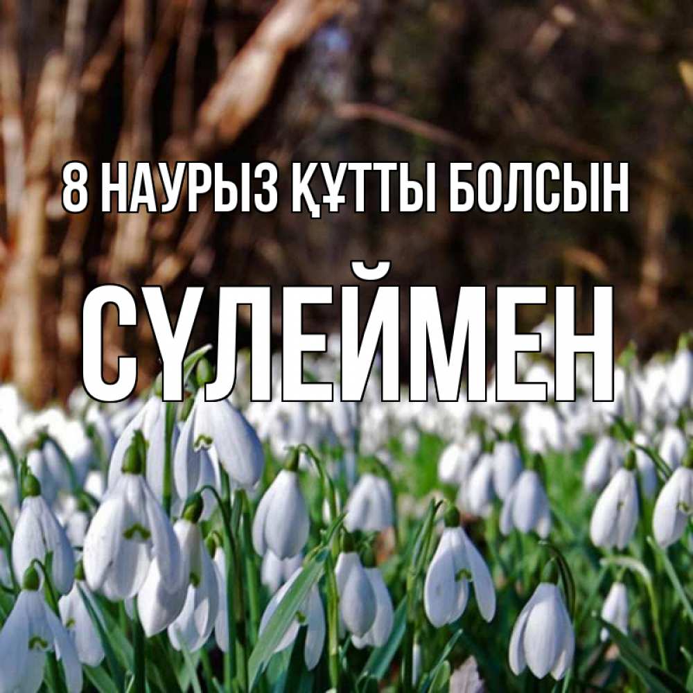 Күн сайын ашық хат с именем, СҮЛЕЙМЕН 8 наурыз құтты болсын с подснежниками 1 Онлайн тегін жүктеп алу тілектері бар керемет карта 