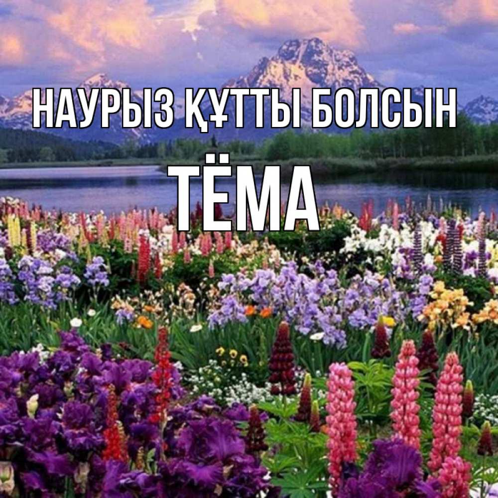 Күн сайын ашық хат с именем, Тёма Наурыз құтты болсын наурыз Онлайн тегін жүктеп алу тілектері бар керемет карта 