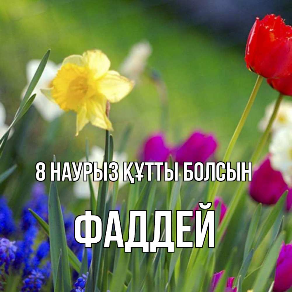 Күн сайын ашық хат с именем, Фаддей 8 наурыз құтты болсын международный женский день 3 Онлайн тегін жүктеп алу тілектері бар керемет карта 