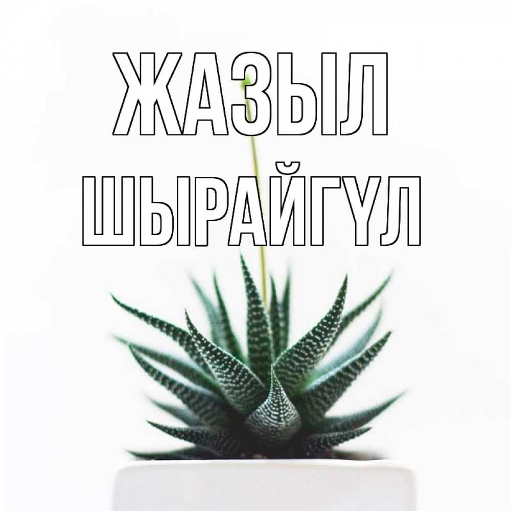 Күн сайын ашық хат с именем, ШЫРАЙГҮЛ Жазыл короче это непонятная колючка Онлайн тегін жүктеп алу тілектері бар керемет карта 