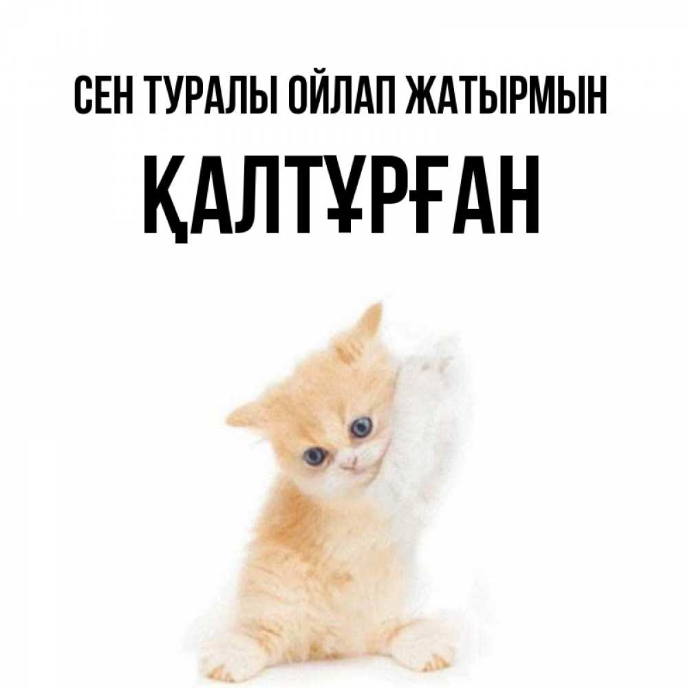 Күн сайын ашық хат с именем, ҚАЛТҰРҒАН Сен туралы ойлап жатырмын зверушки и милота Онлайн тегін жүктеп алу тілектері бар керемет карта 