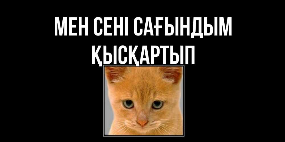Күн сайын ашық хат с именем, Қысқартып Мен сені сағындым открытки рыжий котенок скучает по тебе Онлайн тегін жүктеп алу тілектері бар керемет карта 