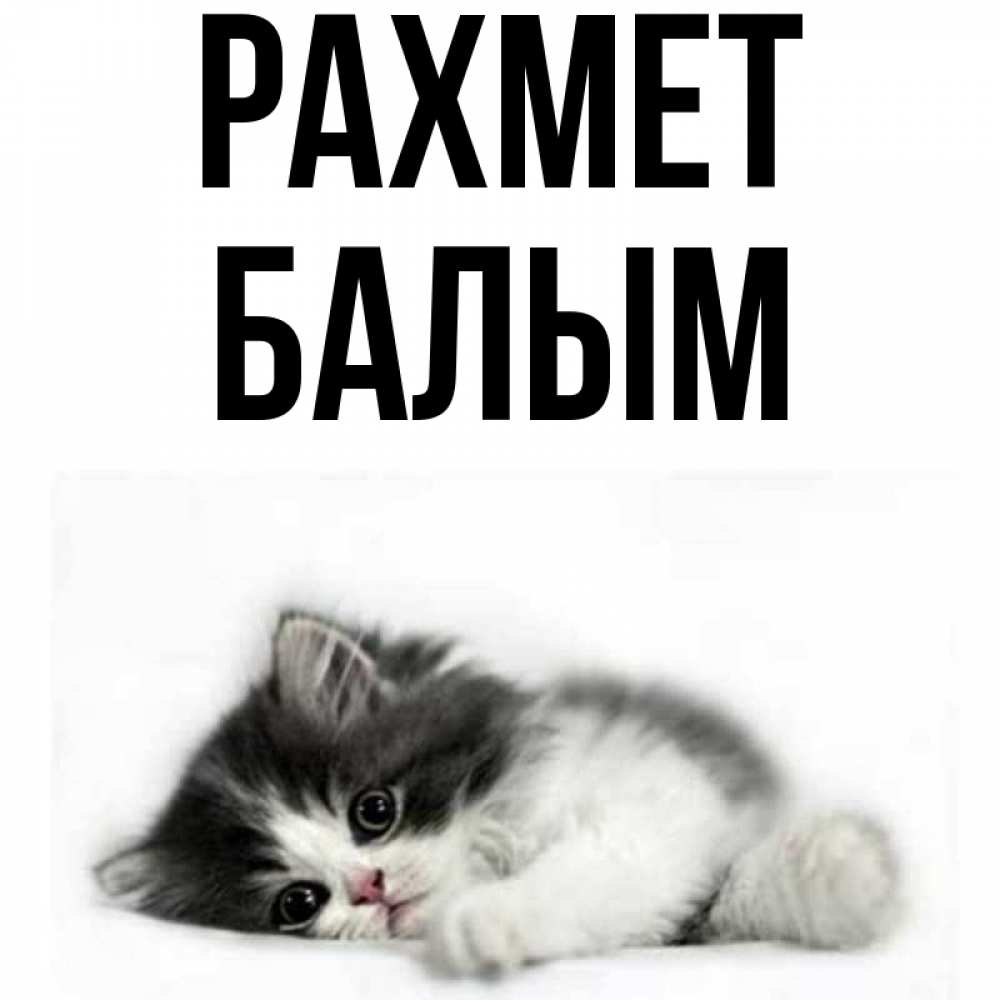 Күн сайын ашық хат с именем, БАЛЫМ рахмет черный и белый кот Онлайн тегін жүктеп алу тілектері бар керемет карта 