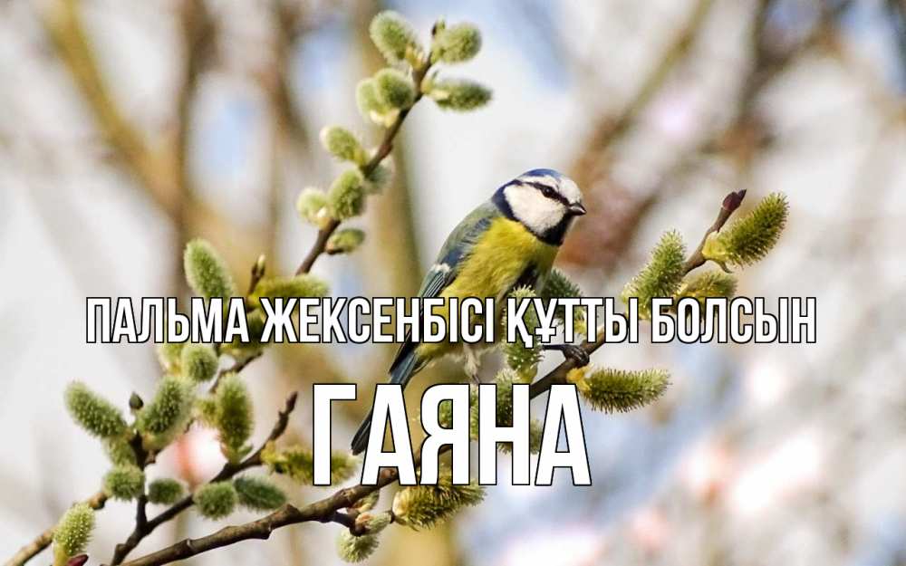 Күн сайын ашық хат с именем, ГАЯНА Пальма жексенбісі құтты болсын верба Онлайн тегін жүктеп алу тілектері бар керемет карта 