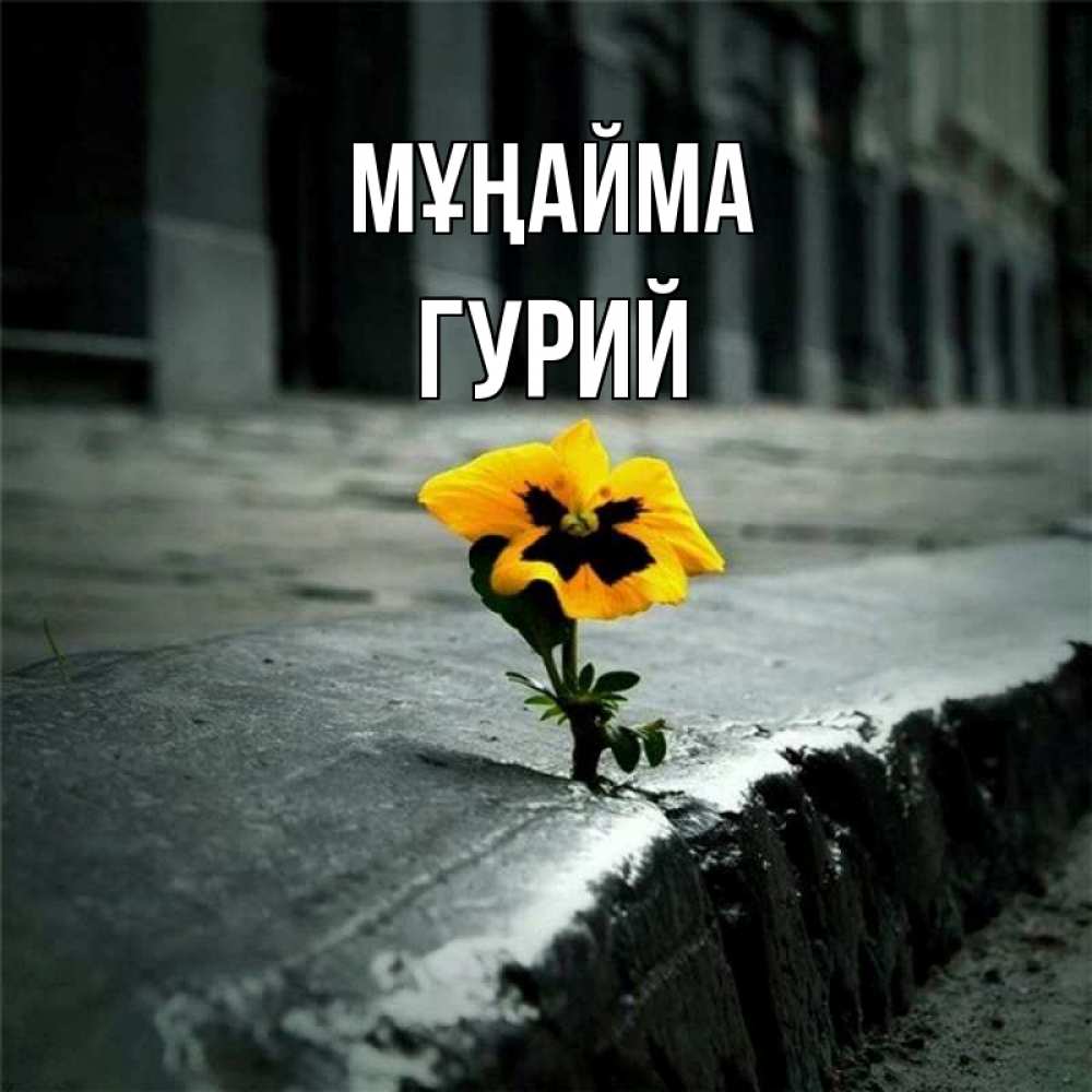 Күн сайын ашық хат с именем, Гурий Мұңайма не сдавайся Онлайн тегін жүктеп алу тілектері бар керемет карта 