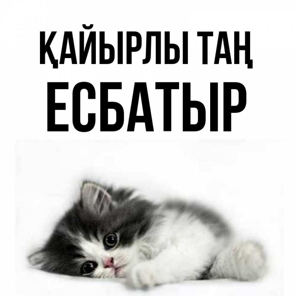 Күн сайын ашық хат с именем, Есбатыр Қайырлы таң кот лапки Онлайн тегін жүктеп алу тілектері бар керемет карта 