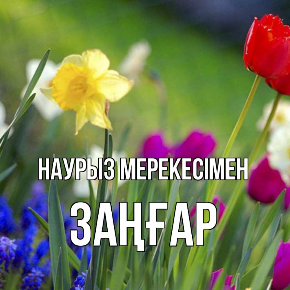 Күн сайын ашық хат с именем, Заңғар Наурыз мерекесімен праздник весны наурыз 3 Онлайн тегін жүктеп алу тілектері бар керемет карта 