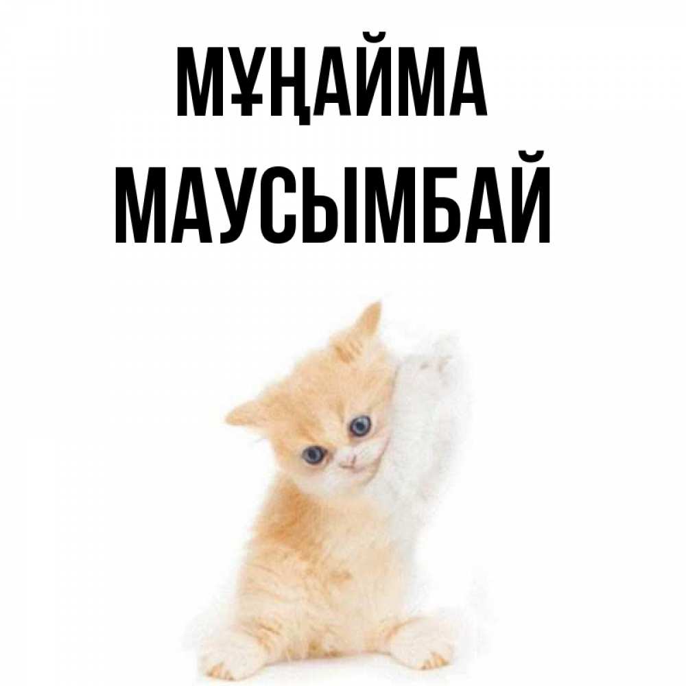 Күн сайын ашық хат с именем, МАУСЫМБАЙ Мұңайма просящий кот Онлайн тегін жүктеп алу тілектері бар керемет карта 