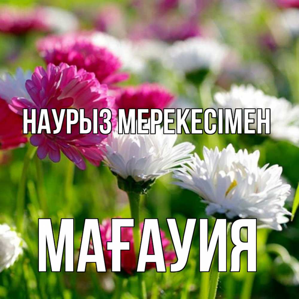 Күн сайын ашық хат с именем, МАҒАУИЯ Наурыз мерекесімен праздник весны наурыз красота Онлайн тегін жүктеп алу тілектері бар керемет карта 