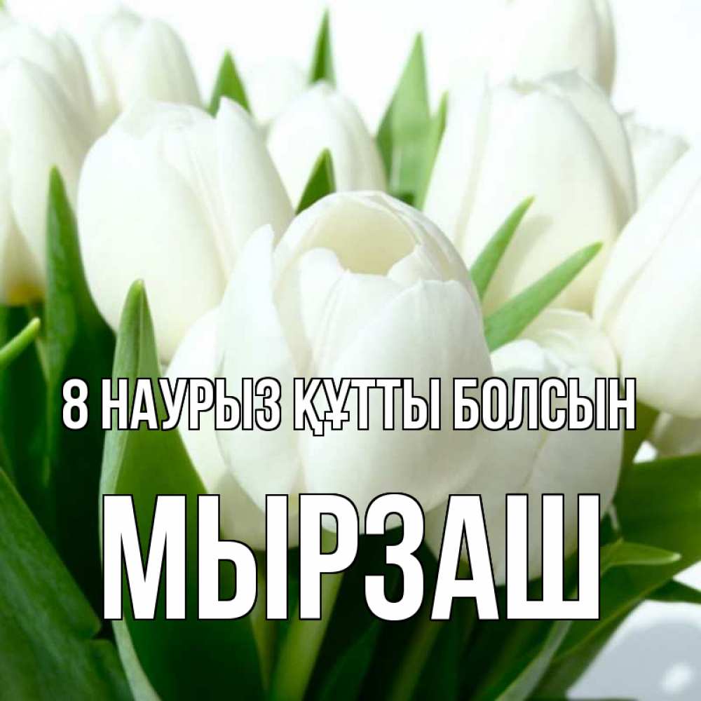 Күн сайын ашық хат с именем, Мырзаш 8 наурыз құтты болсын цветы Онлайн тегін жүктеп алу тілектері бар керемет карта 