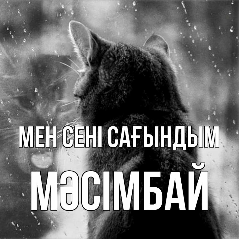 Күн сайын ашық хат с именем, МӘСІМБАЙ Мен сені сағындым скорее ко мне приходи 1 Онлайн тегін жүктеп алу тілектері бар керемет карта 