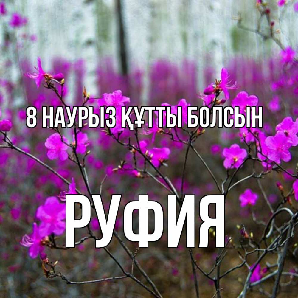 Күн сайын ашық хат с именем, РУФИЯ 8 наурыз құтты болсын дикие цветы Онлайн тегін жүктеп алу тілектері бар керемет карта 