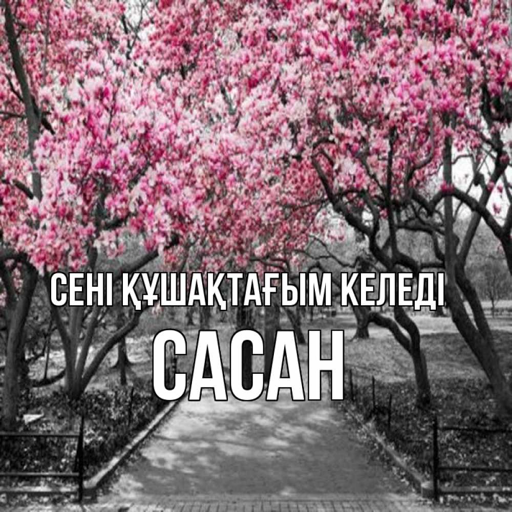 Күн сайын ашық хат с именем, САСАН сені құшақтағым келеді обработанное фото Онлайн тегін жүктеп алу тілектері бар керемет карта 