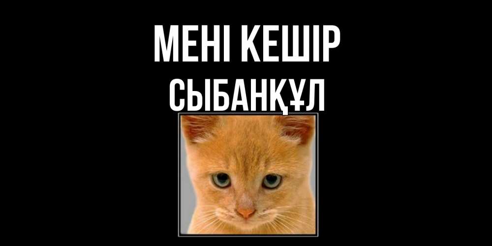 Күн сайын ашық хат с именем, СЫБАНҚҰЛ Мені кешір рыжий грустный кот просит прощения Онлайн тегін жүктеп алу тілектері бар керемет карта 