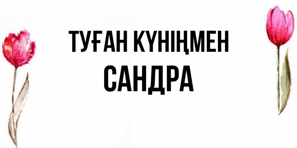 Күн сайын ашық хат с именем, Сандра Туған күніңмен открытки акварелью с цветами Онлайн тегін жүктеп алу тілектері бар керемет карта 