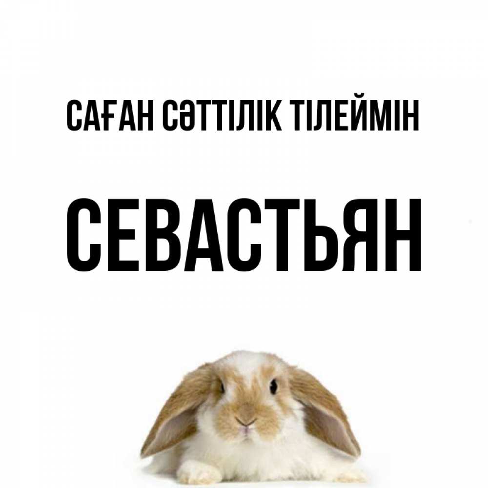 Күн сайын ашық хат с именем, Севастьян Саған сәттілік тілеймін открытки с произвольным текстом который можно вставить в открытку и создать ее самостоятельно бесплатно онлайн Онлайн тегін жүктеп алу тілектері бар керемет карта 
