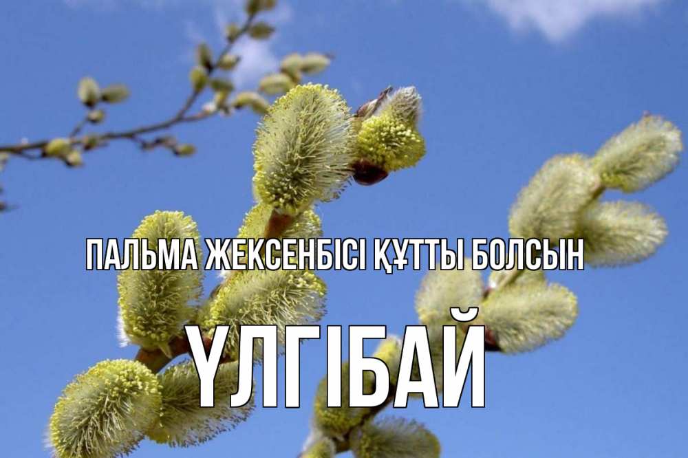 Күн сайын ашық хат с именем, ҮЛГІБАЙ Пальма жексенбісі құтты болсын верба Онлайн тегін жүктеп алу тілектері бар керемет карта 