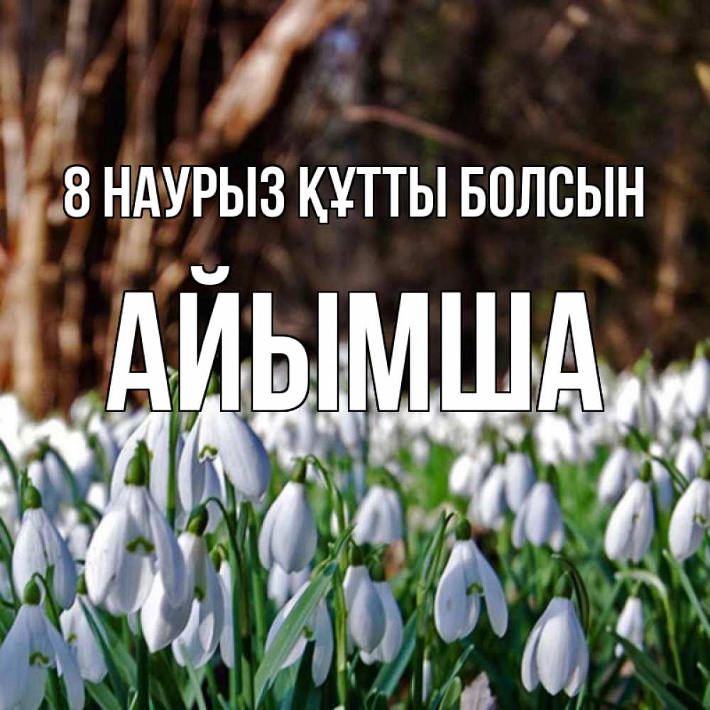 Күн сайын ашық хат с именем, АЙЫМША 8 наурыз құтты болсын с подснежниками 1 Онлайн тегін жүктеп алу тілектері бар керемет карта 
