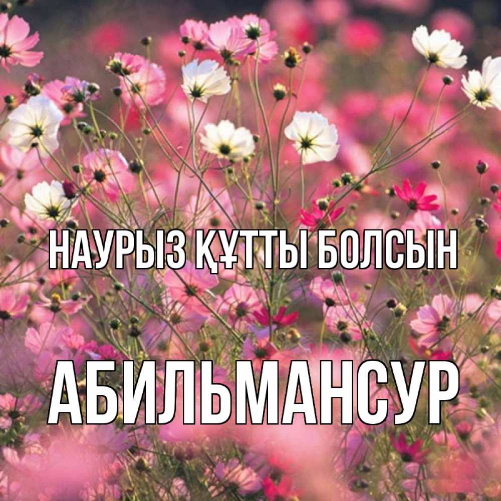 Күн сайын ашық хат с именем, Абильмансур Наурыз құтты болсын красиво 1 Онлайн тегін жүктеп алу тілектері бар керемет карта 