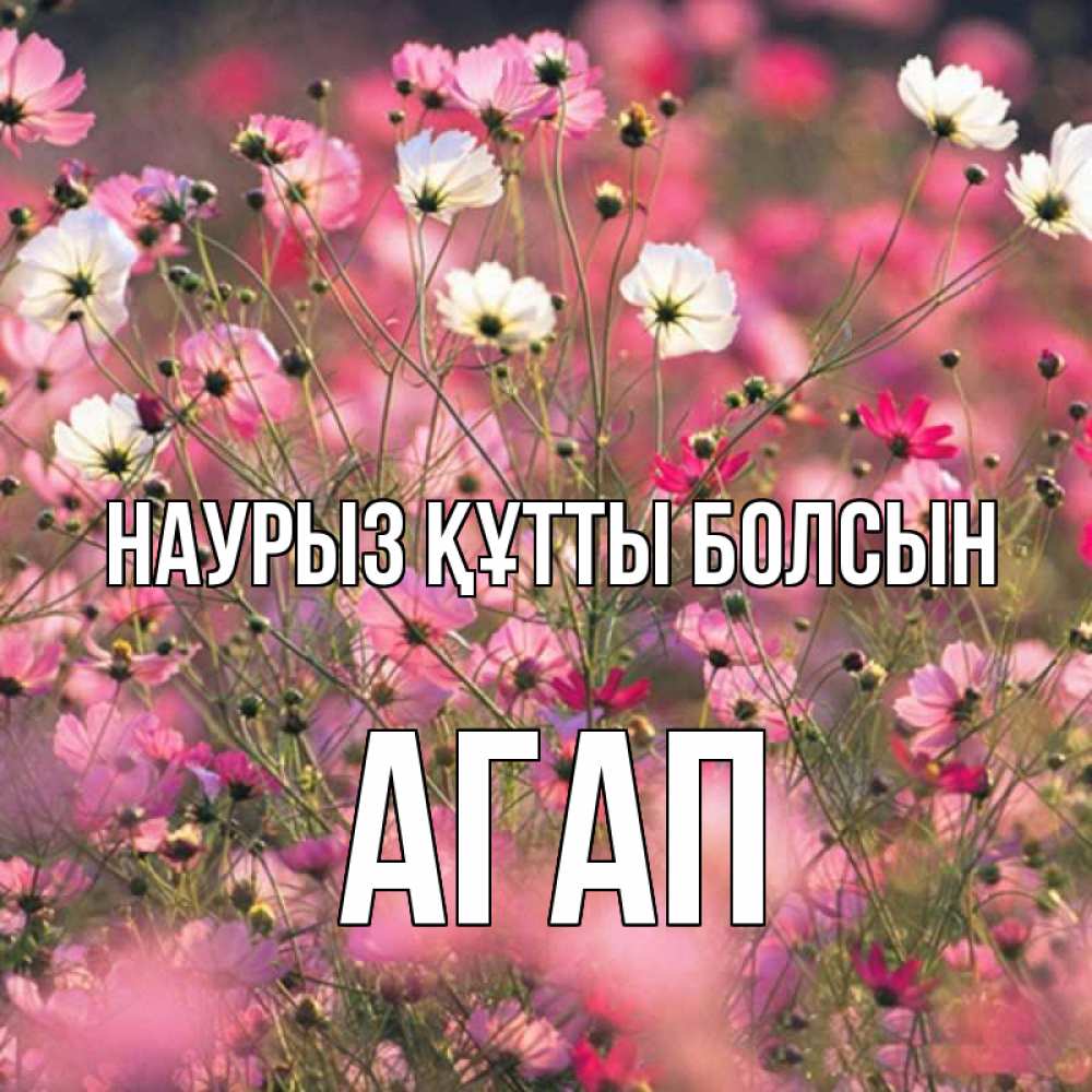 Күн сайын ашық хат с именем, Агап Наурыз құтты болсын красиво 1 Онлайн тегін жүктеп алу тілектері бар керемет карта 