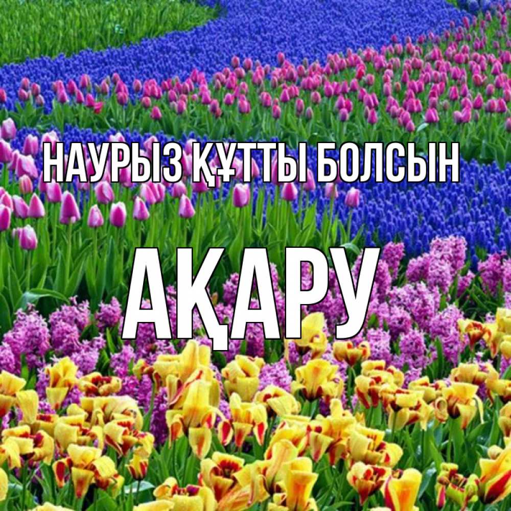 Күн сайын ашық хат с именем, АҚАРУ Наурыз құтты болсын цветы Онлайн тегін жүктеп алу тілектері бар керемет карта 
