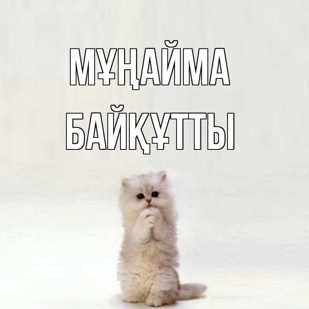 Күн сайын ашық хат с именем, Байқұтты Мұңайма грустный кот Онлайн тегін жүктеп алу тілектері бар керемет карта 