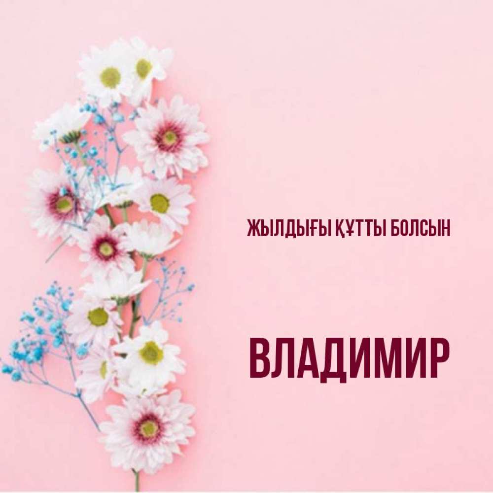 Күн сайын ашық хат с именем, Владимир Жылдығы құтты болсын Родная моя с днем рождения тебя картинка с цветами белыми и голубыми Онлайн тегін жүктеп алу тілектері бар керемет карта 