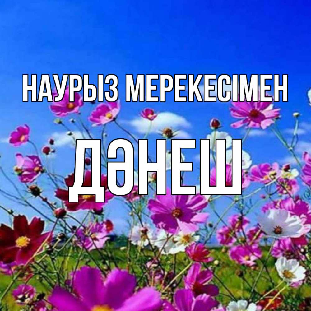 Күн сайын ашық хат с именем, ДӘНЕШ Наурыз мерекесімен цветы Онлайн тегін жүктеп алу тілектері бар керемет карта 