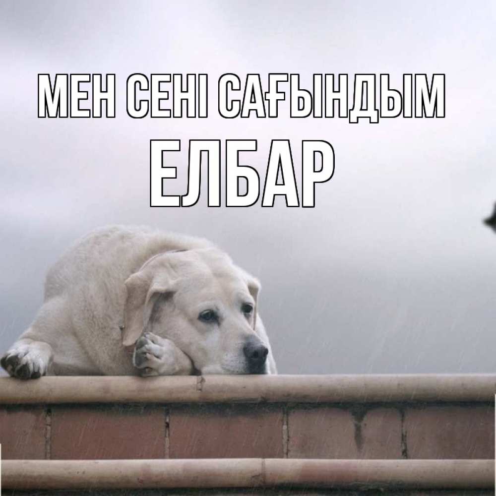 Күн сайын ашық хат с именем, Елбар Мен сені сағындым ждет Онлайн тегін жүктеп алу тілектері бар керемет карта 