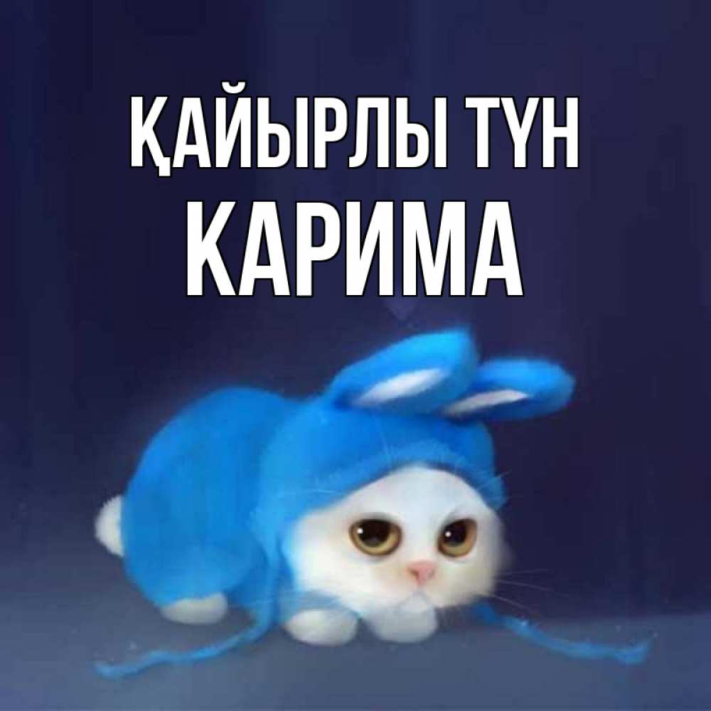 Күн сайын ашық хат с именем, Карима Қайырлы түн кот в голубом костюме кролика с ушками Онлайн тегін жүктеп алу тілектері бар керемет карта 