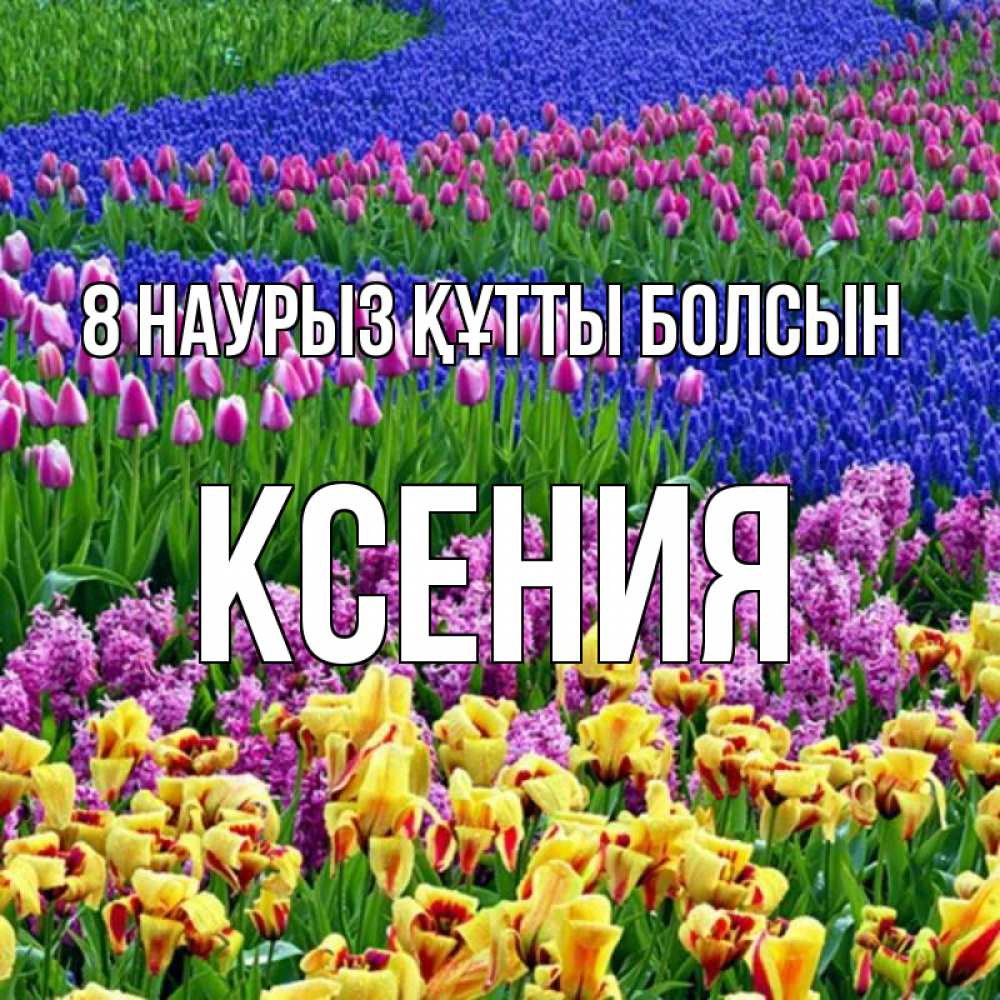 Күн сайын ашық хат с именем, Ксения 8 наурыз құтты болсын цветы Онлайн тегін жүктеп алу тілектері бар керемет карта 