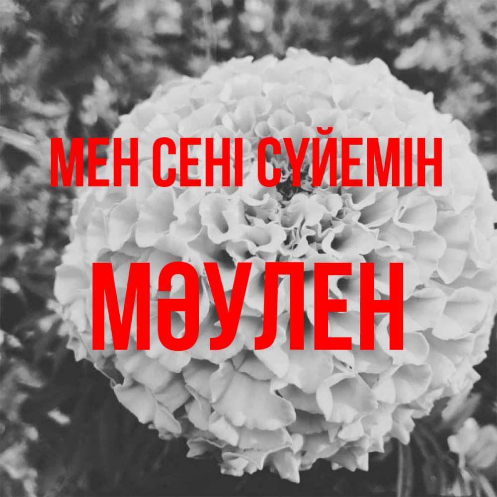 Күн сайын ашық хат с именем, МӘУЛЕН Мен сені сүйемін подпись Онлайн тегін жүктеп алу тілектері бар керемет карта 