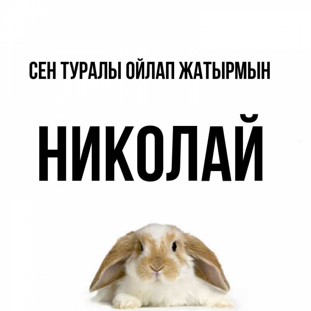 Күн сайын ашық хат с именем, Николай Сен туралы ойлап жатырмын подписать своими руками онлайн Онлайн тегін жүктеп алу тілектері бар керемет карта 