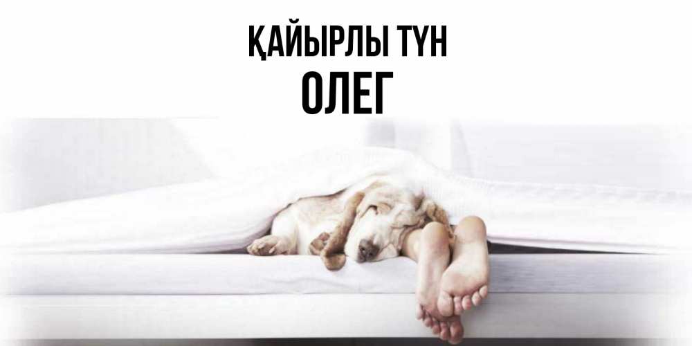 Күн сайын ашық хат с именем, Олег Қайырлы түн кровать с собакой пожелание сладких снов и спокойной ночи Онлайн тегін жүктеп алу тілектері бар керемет карта 