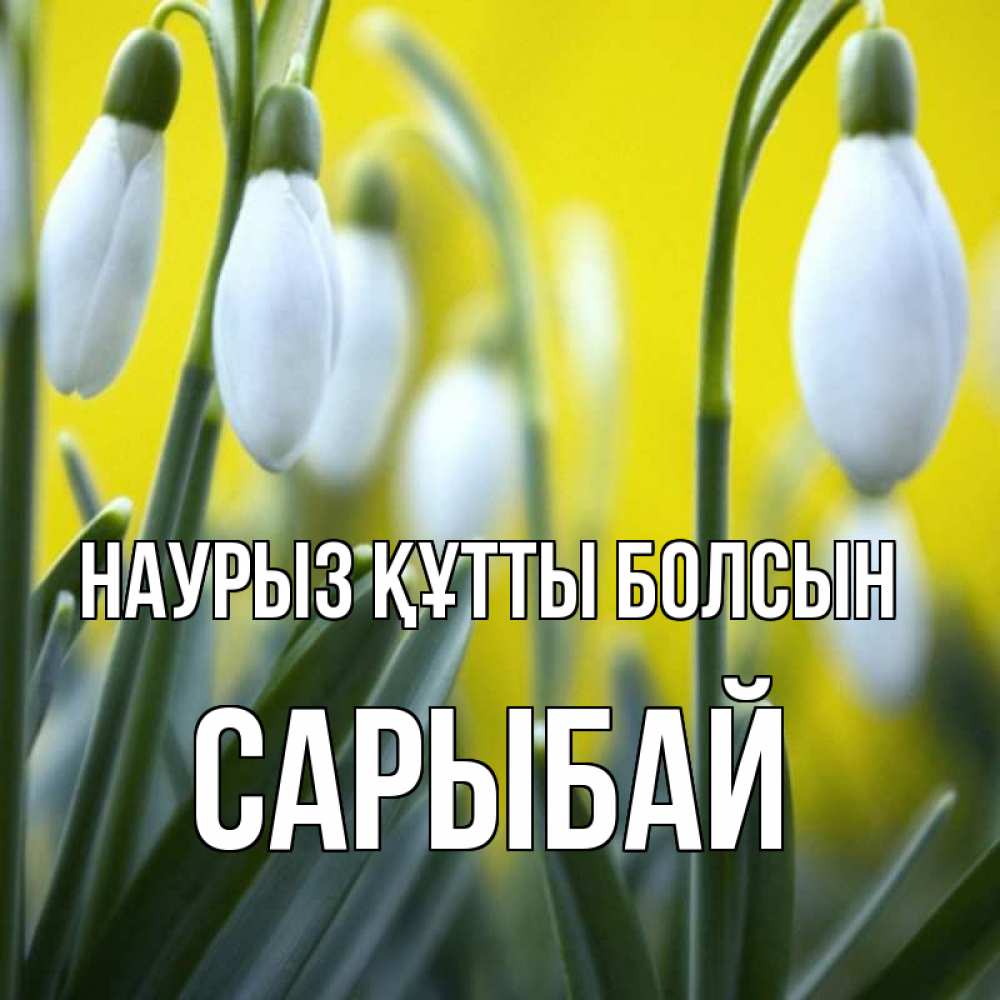 Күн сайын ашық хат с именем, САРЫБАЙ Наурыз құтты болсын весенние цветы Онлайн тегін жүктеп алу тілектері бар керемет карта 