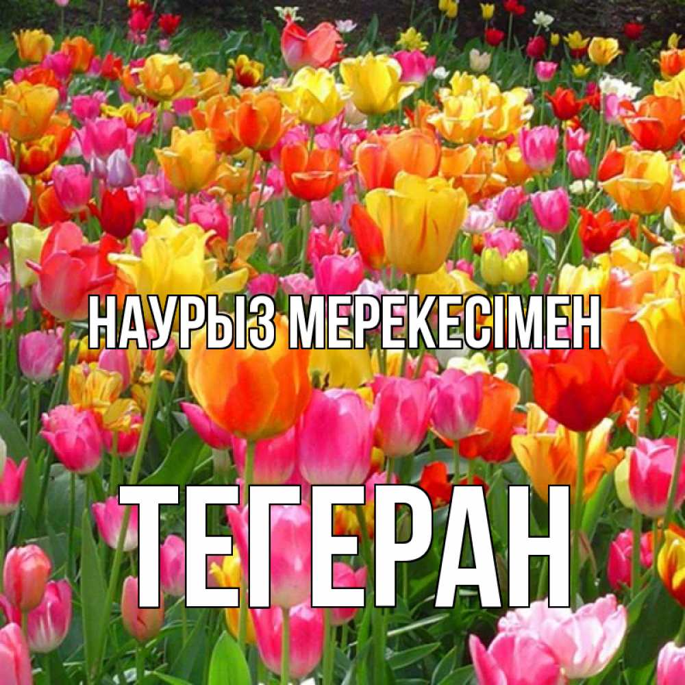 Күн сайын ашық хат с именем, ТЕГЕРАН Наурыз мерекесімен праздник весны наурыз 4 Онлайн тегін жүктеп алу тілектері бар керемет карта 