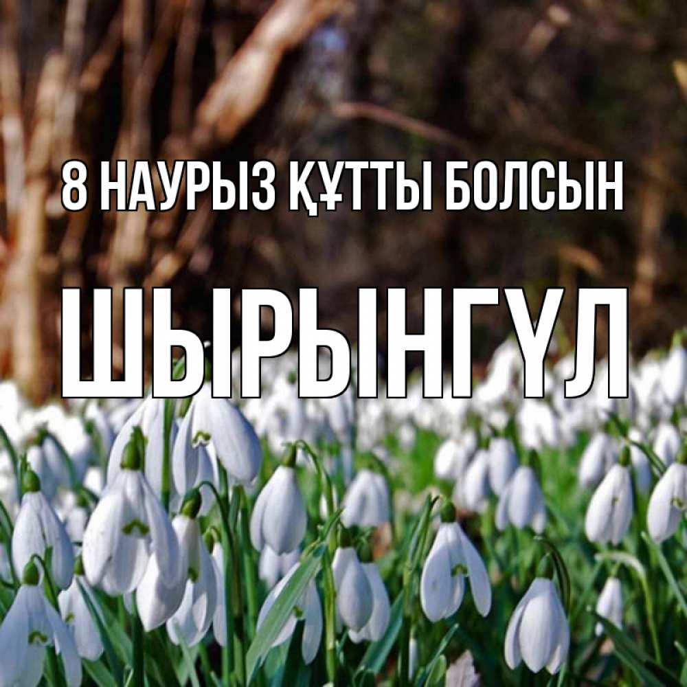 Күн сайын ашық хат с именем, ШЫРЫНГҮЛ 8 наурыз құтты болсын с подснежниками 1 Онлайн тегін жүктеп алу тілектері бар керемет карта 