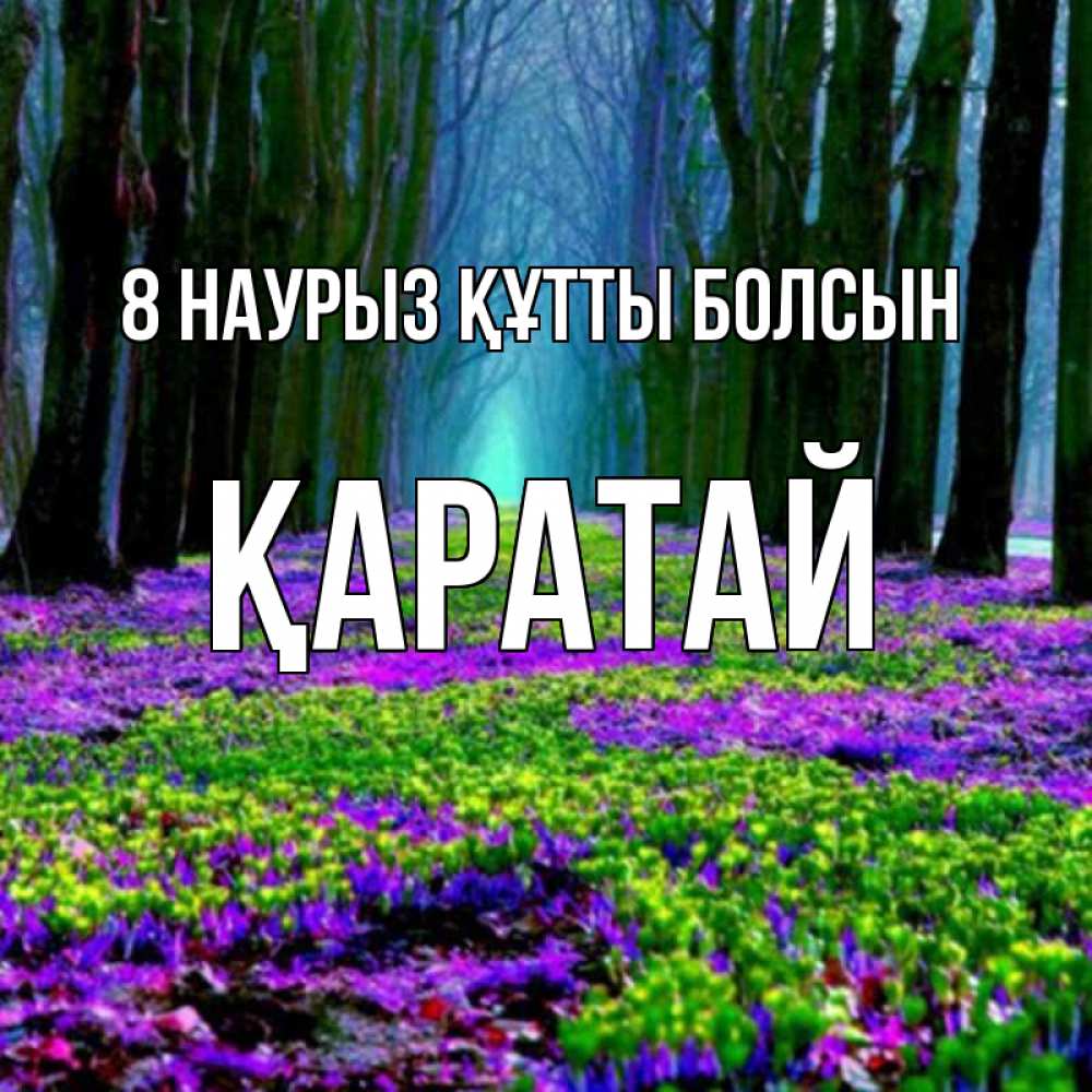 Күн сайын ашық хат с именем, Қаратай 8 наурыз құтты болсын фиолетовые цветы в лесу 1 Онлайн тегін жүктеп алу тілектері бар керемет карта 
