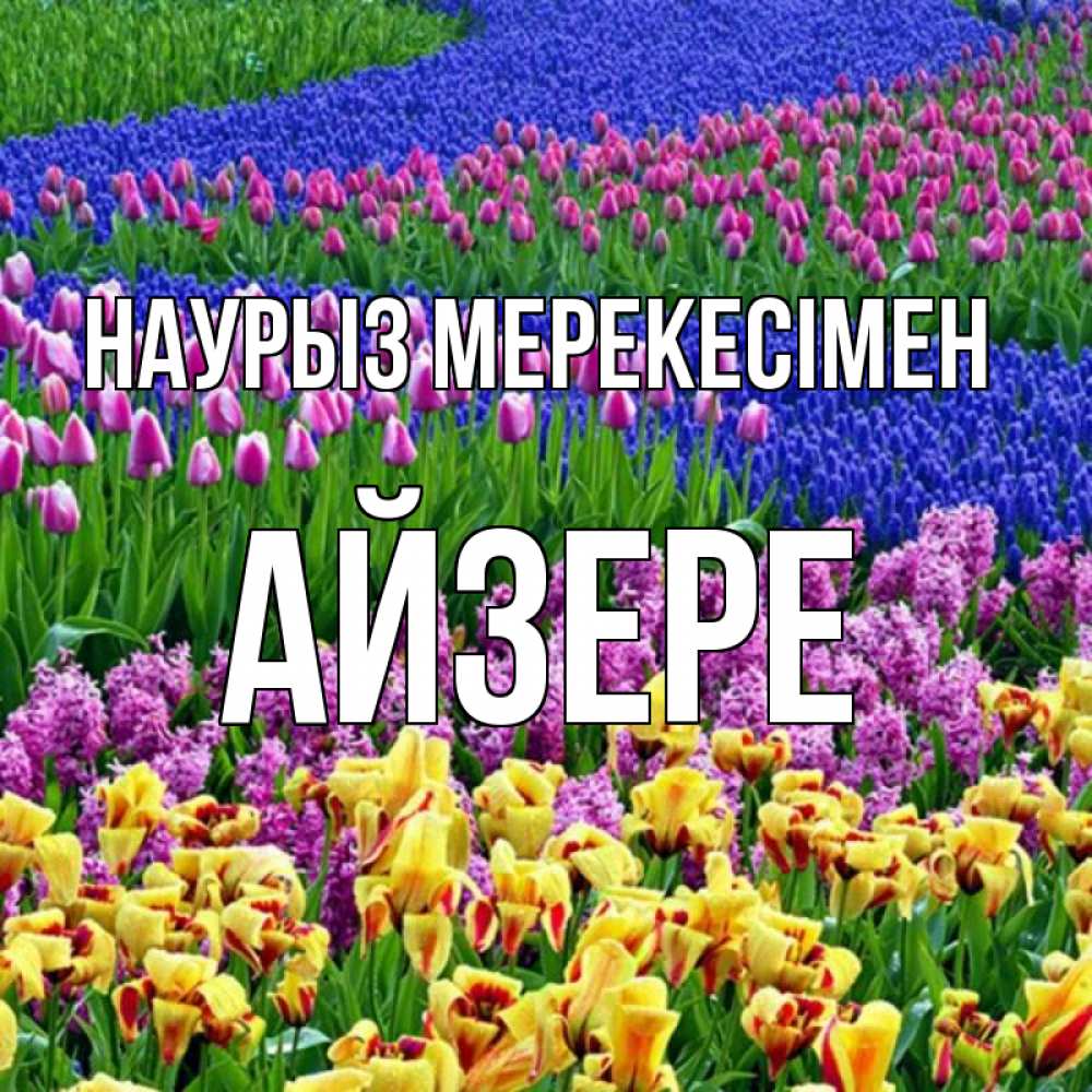 Күн сайын ашық хат с именем, АЙЗЕРЕ Наурыз мерекесімен цветы Онлайн тегін жүктеп алу тілектері бар керемет карта 