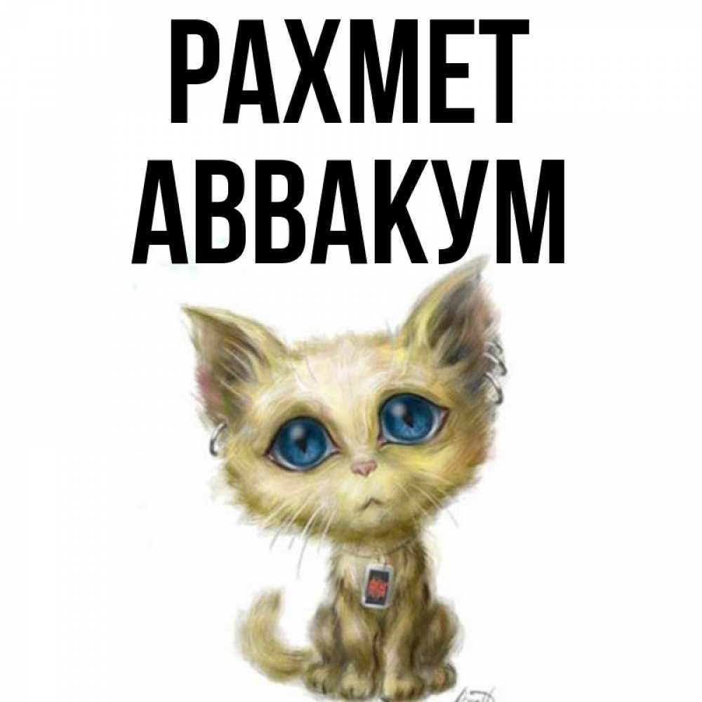 Күн сайын ашық хат с именем, Аввакум рахмет рисованный кот благодарит вас Онлайн тегін жүктеп алу тілектері бар керемет карта 