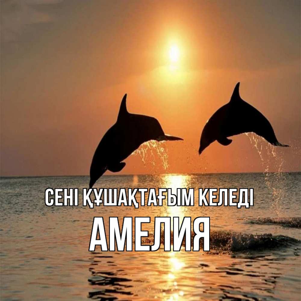 Күн сайын ашық хат с именем, Амелия сені құшақтағым келеді рыбы на закате Онлайн тегін жүктеп алу тілектері бар керемет карта 